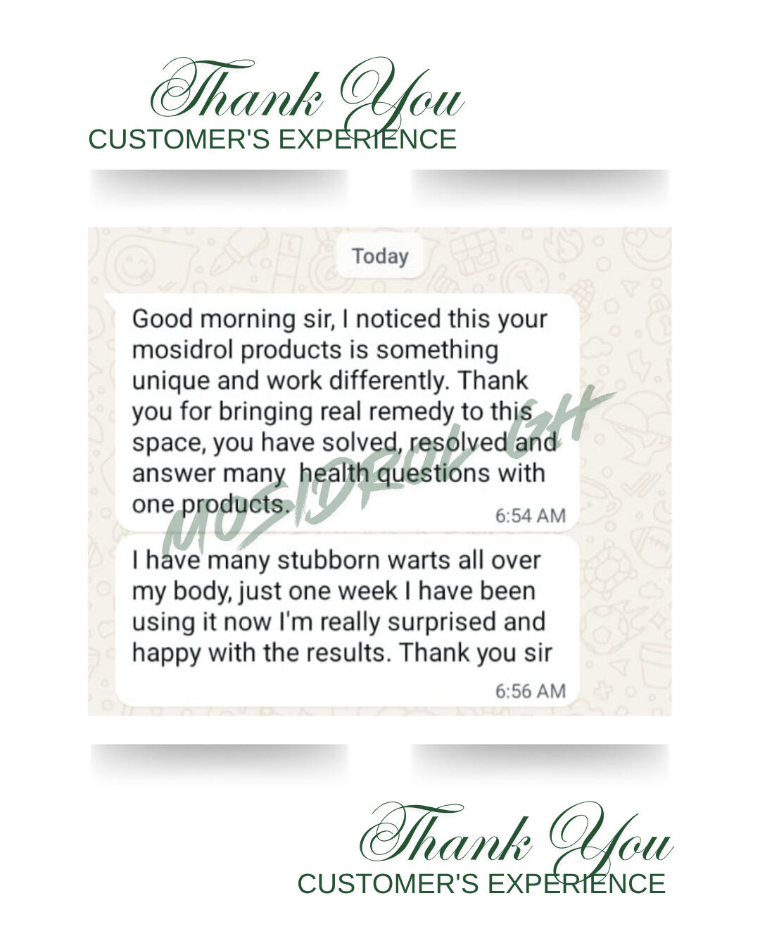 FACE SHIRLEY & REPAIR OIL